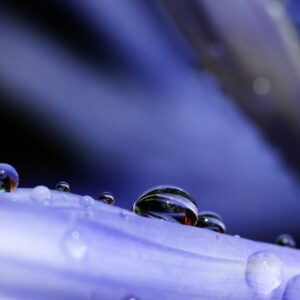 Water Droplet
