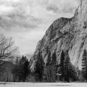 Yosemite Black/White