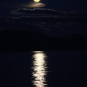Moonlight Reflections